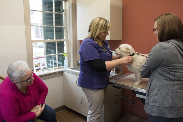 Dr. Nancy examining Patches