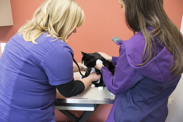 annual checkup
