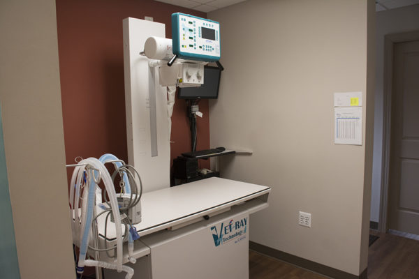 x-ray machine