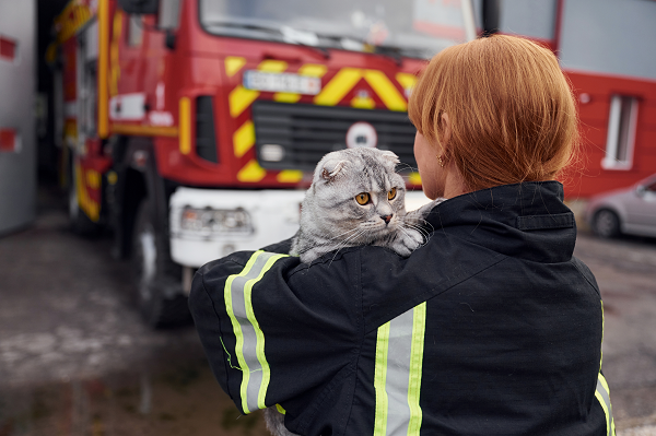 image for July 15th is Pet Fire Safety Day